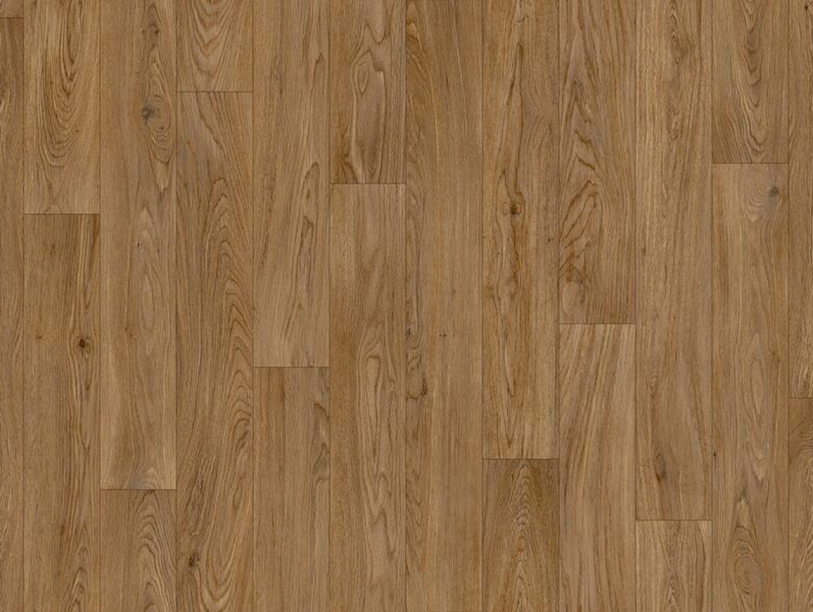 Strong Plus - Summer Oak 664D